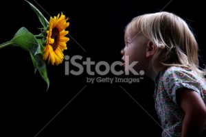 stock-photo-11793735-child-smelling-sunflower