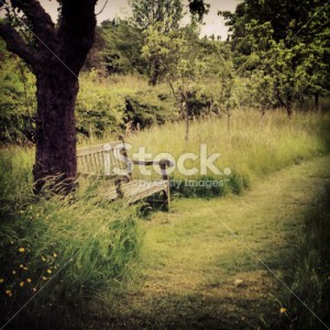 stock-photo-39366346-garden-bench