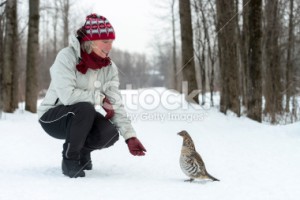 stock-photo-55671886-woman-and-ruffed-grouse-in-winter