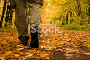 stock-photo-7438096-autumn-stroll